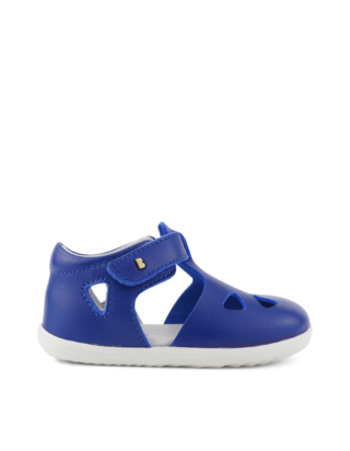 BOBUX_CWEBSID_725824_BlueberryZap