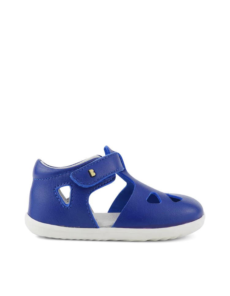 BOBUX_725824_BlueberryZap