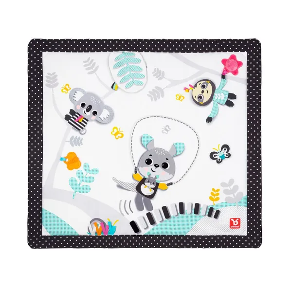 אוניברסיטה התפתחותית וספר BENBAT אוניברסיטה התפתחותית וספר BENBAT