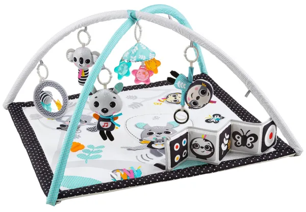 אוניברסיטה התפתחותית וספר BENBAT אוניברסיטה התפתחותית וספר BENBAT