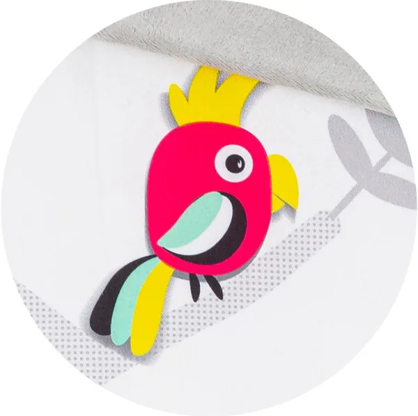 אוניברסיטה התפתחותית וספר BENBAT אוניברסיטה התפתחותית וספר BENBAT