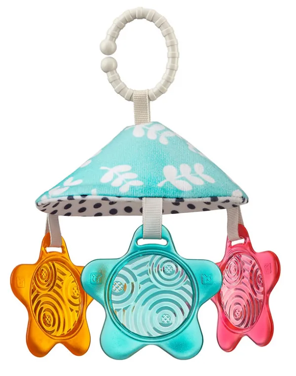 אוניברסיטה התפתחותית וספר BENBAT אוניברסיטה התפתחותית וספר BENBAT