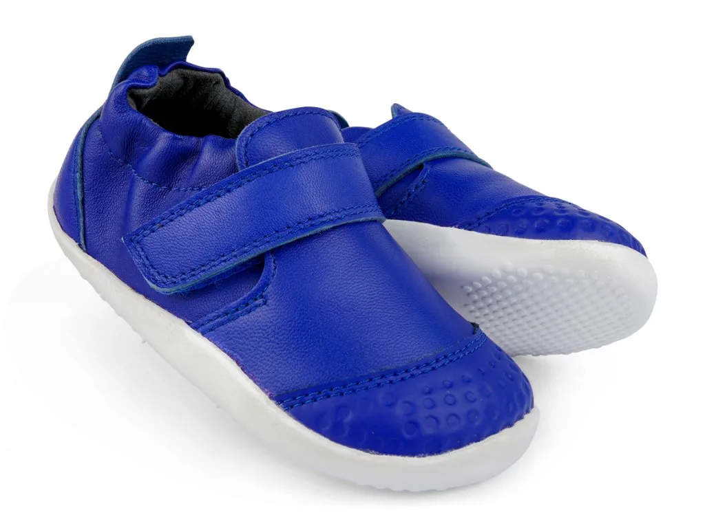 BOBUX_PWEBSID_501004B_BlueberryGo_1