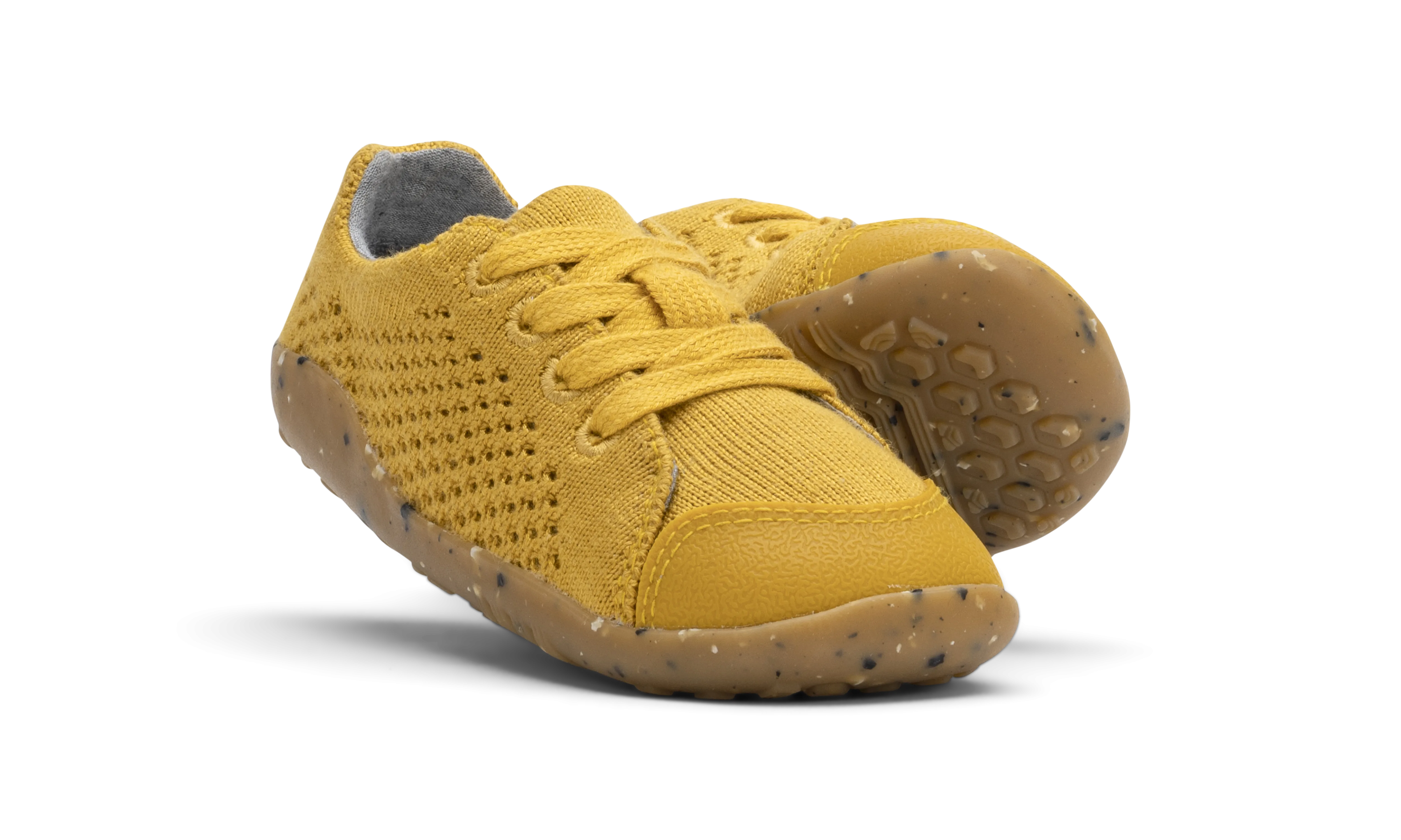 BOBUX_730903F_TumericSeedling