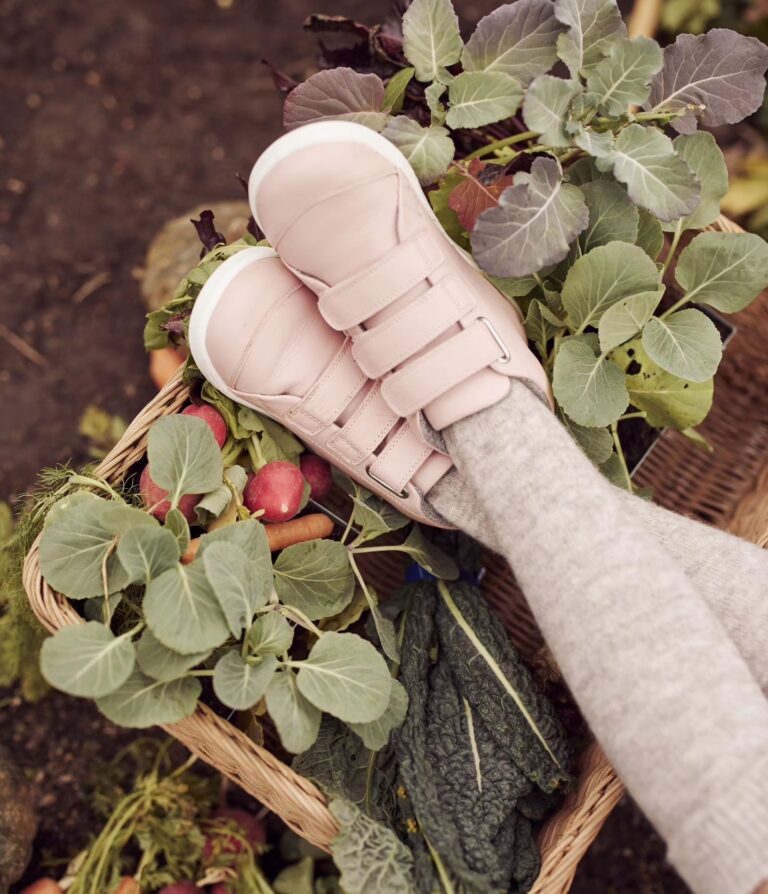 BOBUX_637806_SeashellHiCourt