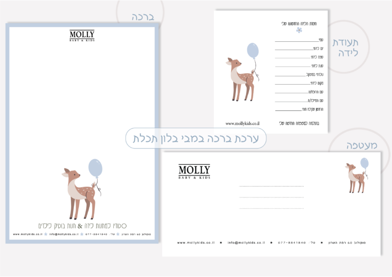 ערכת ברכה מעוצבת תוספת למארז לידה במבי בלון תכלת Molly