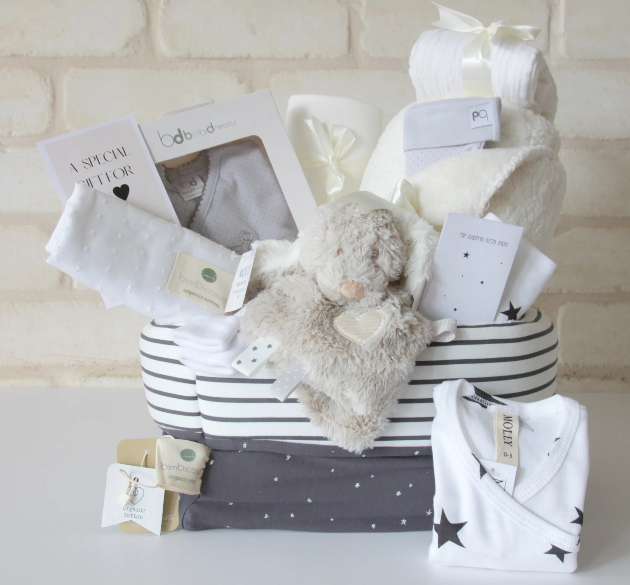 מארז בייבי מולי ארגונית מפנקת לשידה וביגוד ראשוני לתינוק Molly