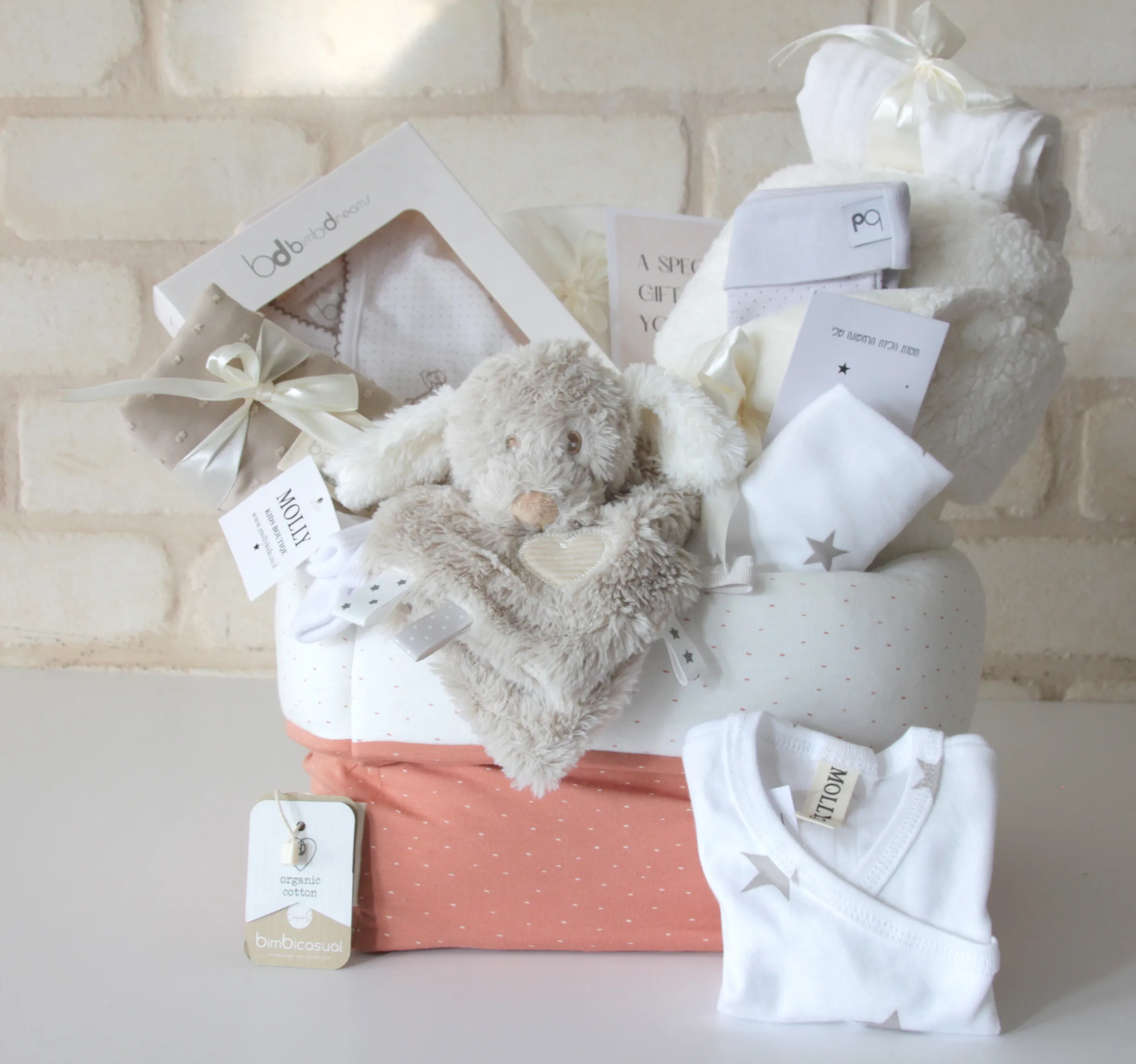 מארז בייבי מולי ארגונית מפנקת לשידה נקודות וביגוד ראשוני לתינוק Molly