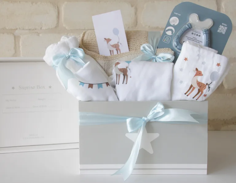 מתנה לתינוק שנולד אייל שמח & נשכן Molly